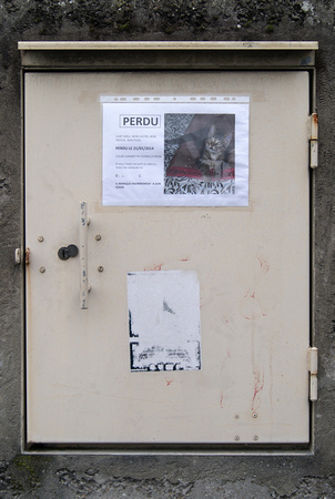 Chacun cherche son chat, Bordeaux, 2014